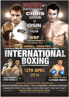 Fight Poster